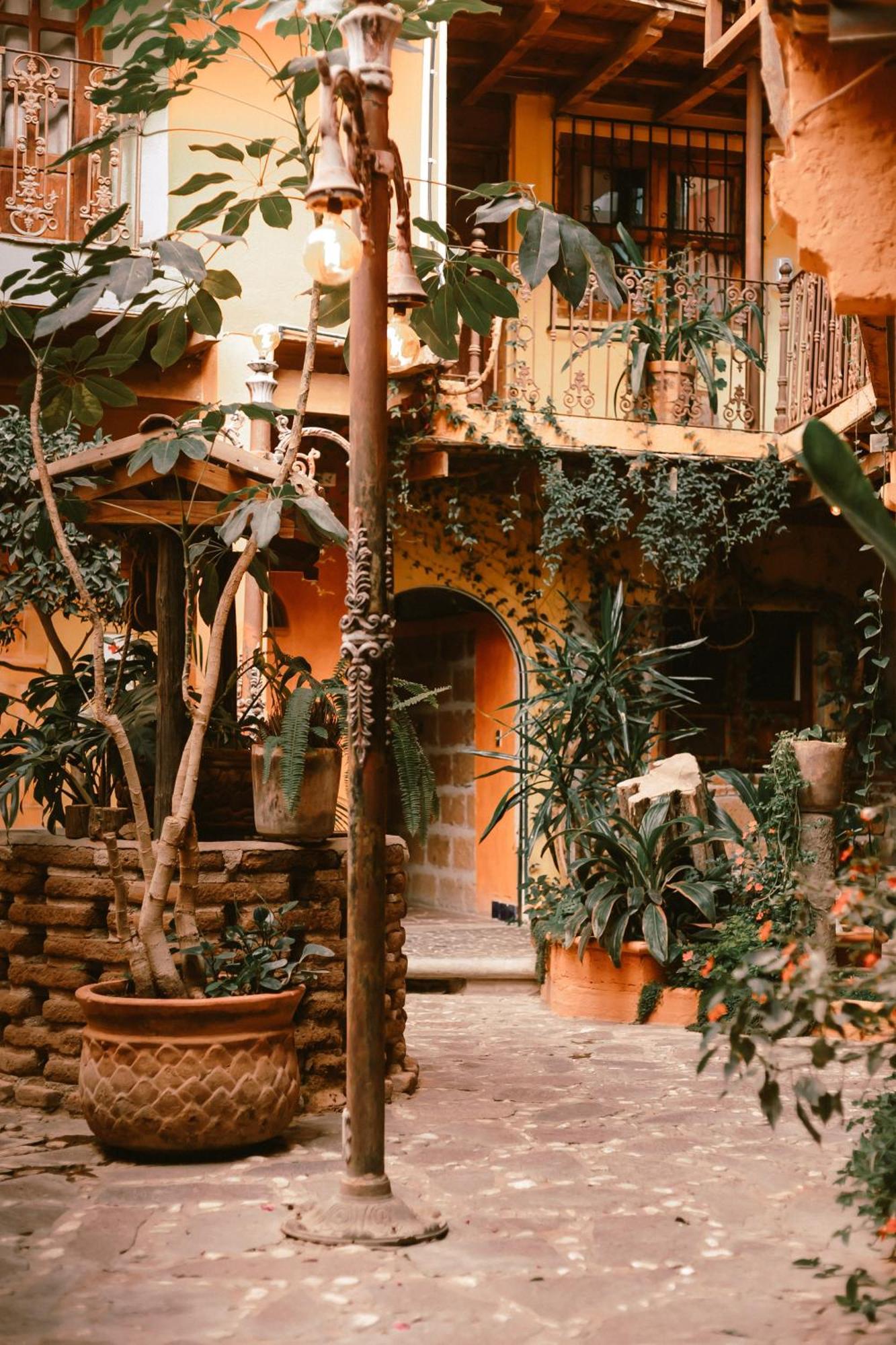 Hotel Casamia Dolores Hidalgo Exteriör bild